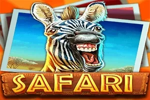 Safari